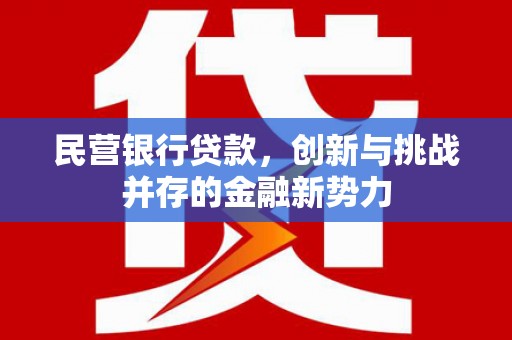 曲沃民营银行贷款，创新与挑战并存的金融新势力