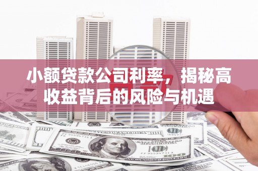 曲沃小额贷款公司利率，揭秘高收益背后的风险与机遇