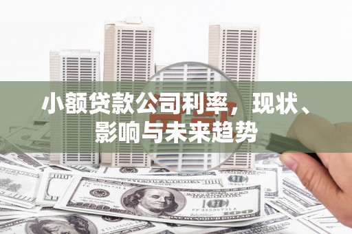 曲沃小额贷款公司利率，现状、影响与未来趋势