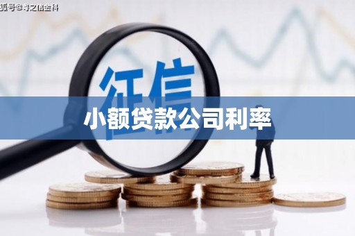 曲沃小额贷款公司利率