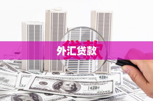 曲沃外汇贷款