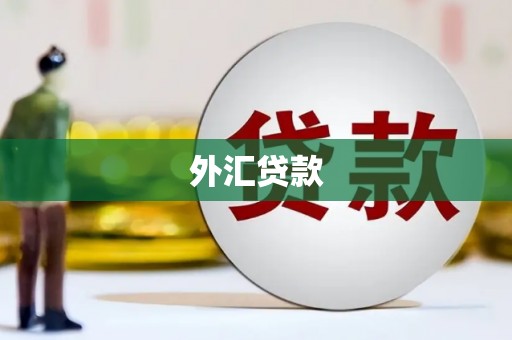 曲沃外汇贷款