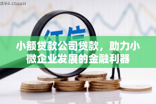 曲沃小额贷款公司贷款，助力小微企业发展的金融利器