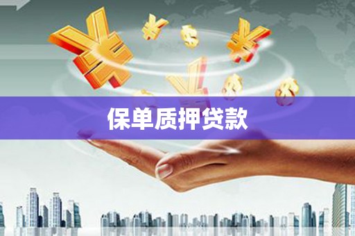 曲沃保单质押贷款
