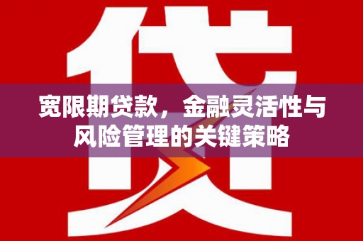 曲沃宽限期贷款，金融灵活性与风险管理的关键策略