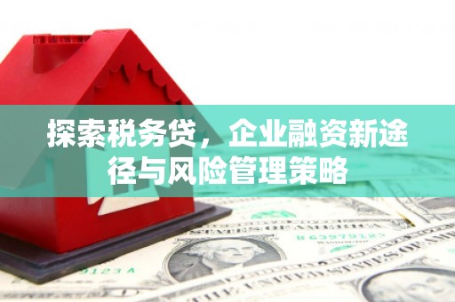 曲沃探索税务贷，企业融资新途径与风险管理策略
