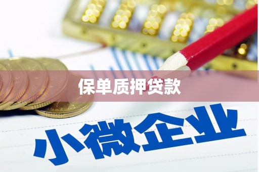 曲沃保单质押贷款