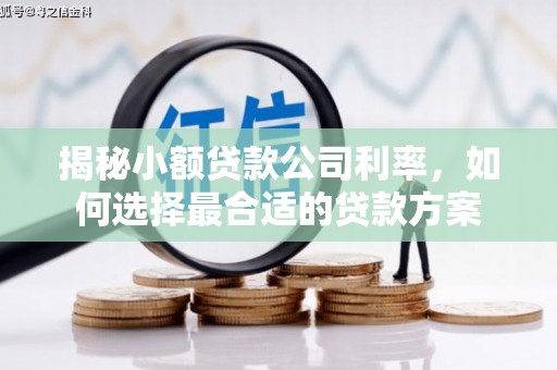 曲沃揭秘小额贷款公司利率，如何选择最合适的贷款方案